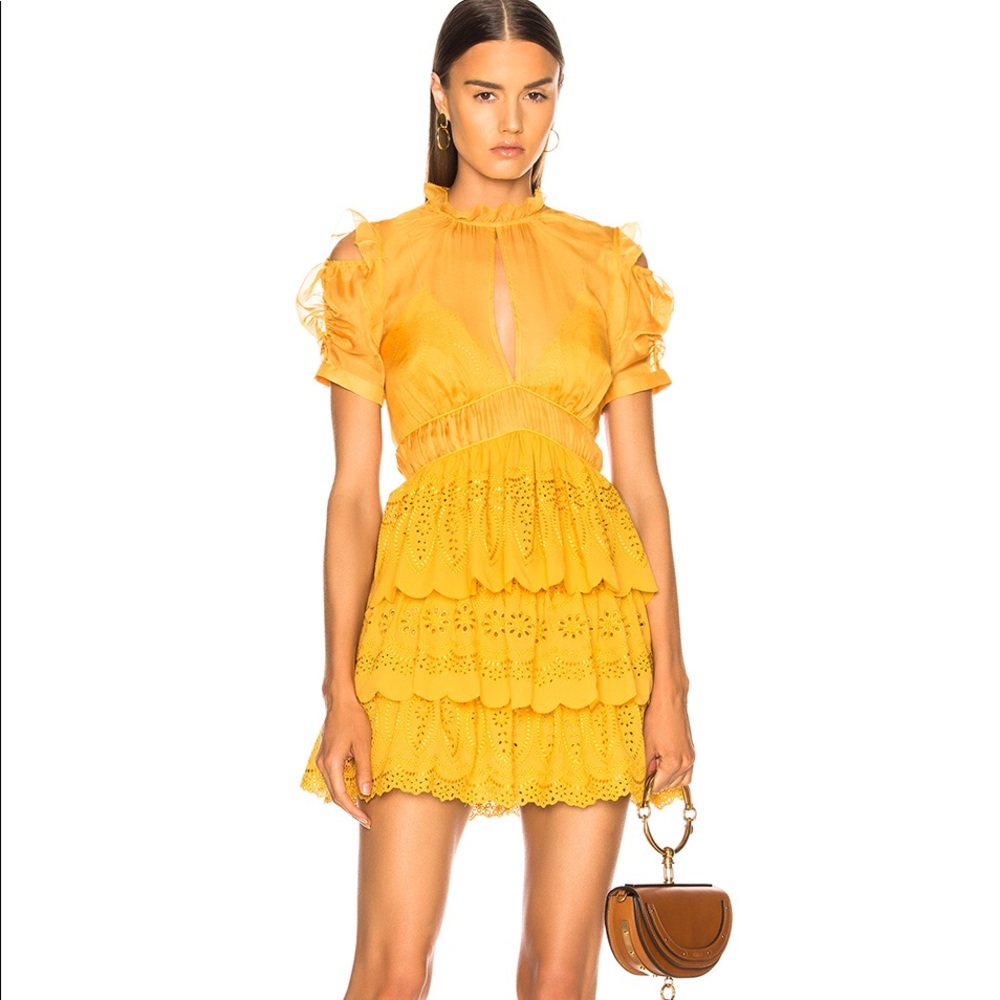 Self-Portrait Tiered Ruffled Dress